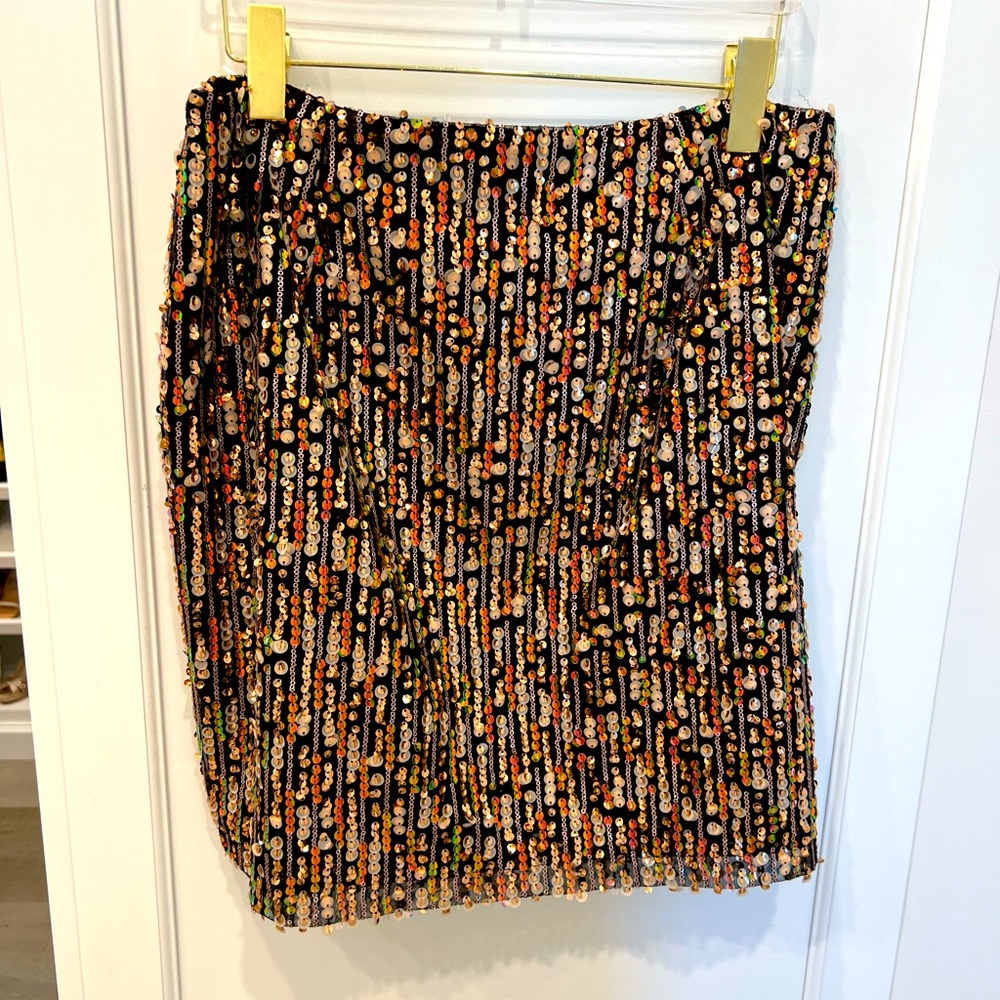Corey Lynn Carlter Anthropologie Skirt